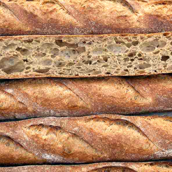 COOL PAN'DA RUSTICO 25/1 FORBAK